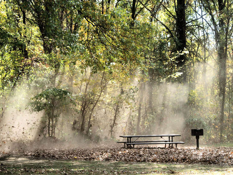 Blacklick Woods