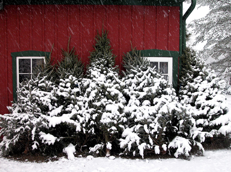Heritage Farms