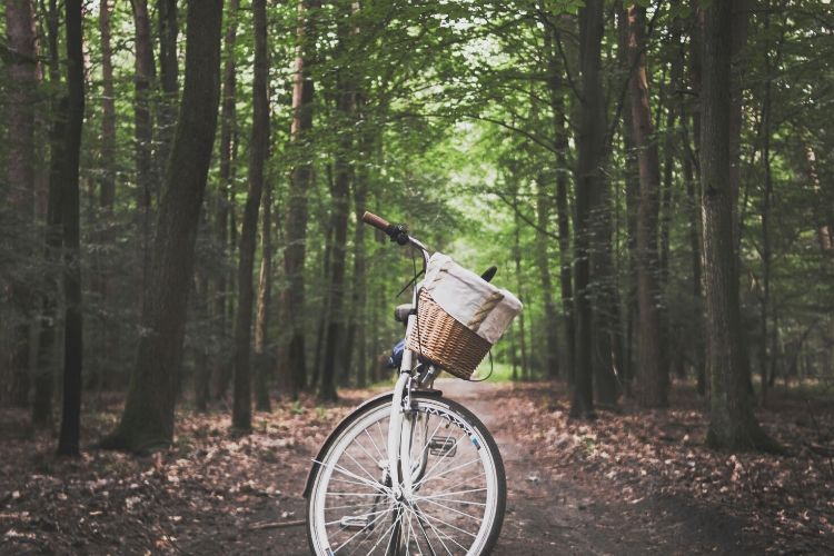 Bike Trails Around Columbus - Cutler Real Estate