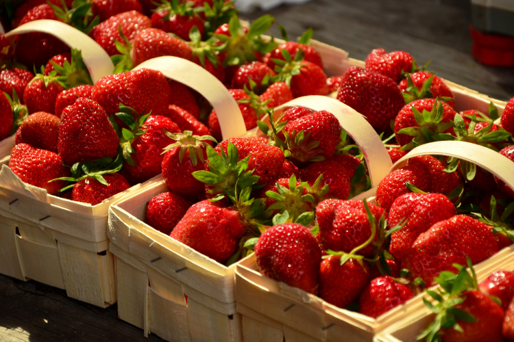 Strawberry Farms - Explore Ohio - Cutler Real Estate